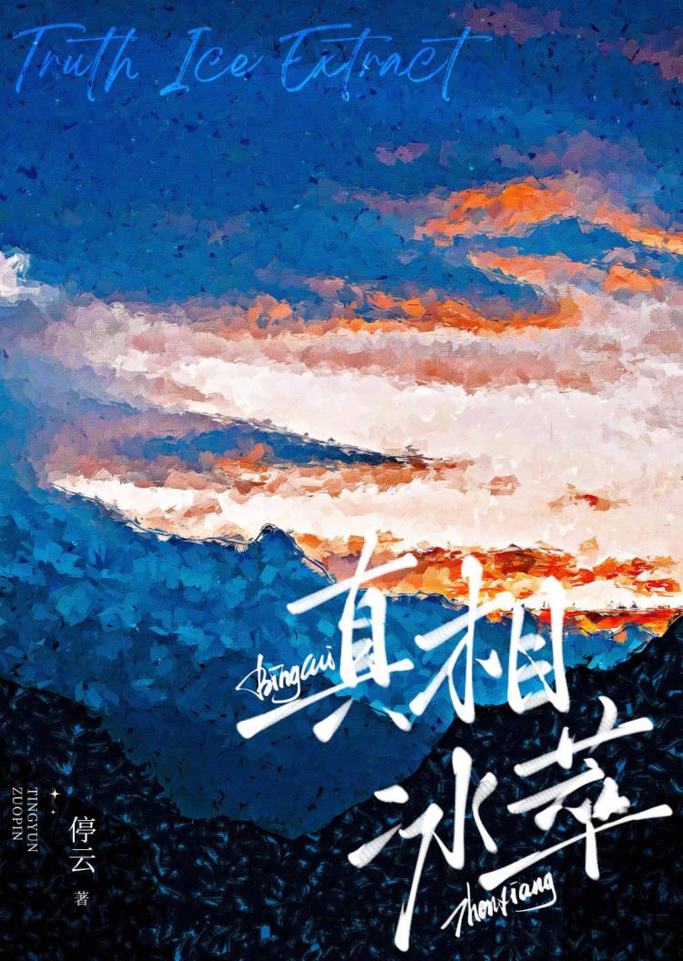 cctv真相