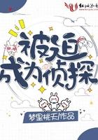 被迫成为侦探挂件的人